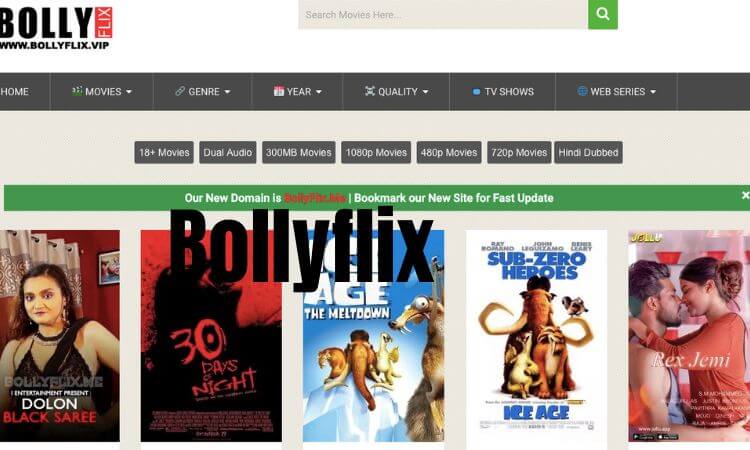 Bollyflix 2022 Bolly flix, Bollyflix.com, Bollyflix.in, Bollyflix com, Bollyflix movie download, Bollyflix Bollywood, Bollyfilx