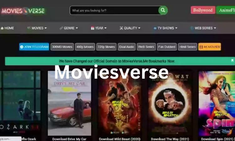 Movieverse 2022 Moviesverse, Movies verse, Moviesflix verse, Movie verse, Moviesverse.com, Moviesverse.in, Moviesverse me