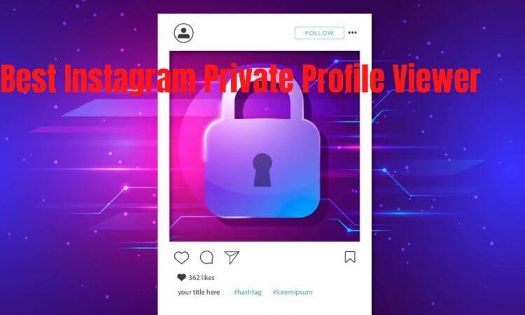 Best Instagram Private Profile Viewer Apk 2023 Complete Guide and Reviews