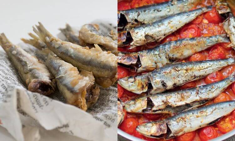 Sardines Vs Anchovies Difference Between Sardines and Anchovies