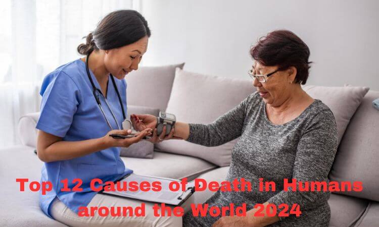 Top 12 Causes of Death in Humans around the World 2024